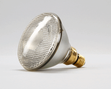 BKI FL0003 LAMP  FLOOD 120W PAR38 240/250