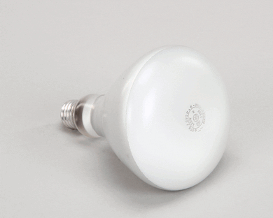 BKI FL0024 LAMP  FLOOD 120W R40 130V TEF