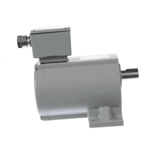 INSINGER D2883 1/15 HP GEARMOTOR 208/3/60 15