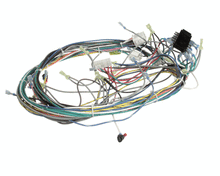 SOUTHBEND RANGE 1198897 HARNESS CONTROL 120V CCH NRG
