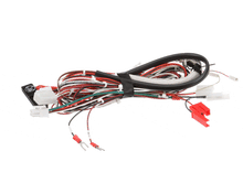TURBOCHEF 100185 HARNESS  LOW VOLTAGE  (2 LEFT SIDE DOOR