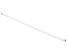 TRUE 801169 LAMP  F032/741/ECO T8 48 32W