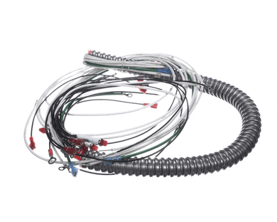 WELLS 2E-48203 WIRE SET MOD300TDM AUTOFL