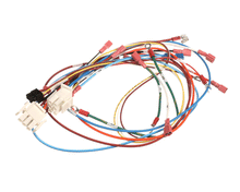 ANTUNES 0700926 WIRE SET CONTROL BOARD