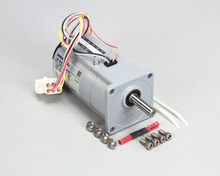 ANTUNES 7000500 MOTOR KIT
