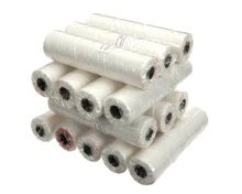 AMERICAN RANGE A16014 FILTER 10 MICRON 15PK AFM FRYR