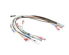 ANTUNES 0700871 WIRE SET FIREHOUSE