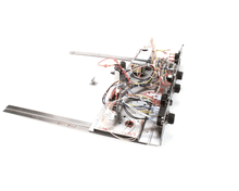 BLODGETT 57564 KIT MODULE W/PROBE DFG 115V
