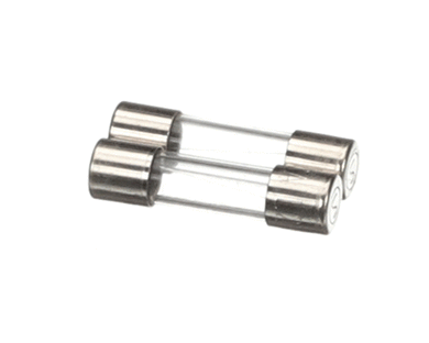 BLODGETT 61613 FUSES F2 2A 2 PCS