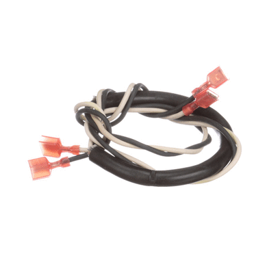 BLODGETT R2385 HARNESS  DOOR SWITCH