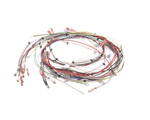 BUNN 33634.0001 WIRING HARNESS MAIN DUAL SH