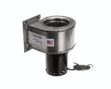 BEVLES 782205 782205