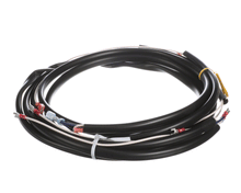 CHAMPION - MOYER DIEBEL 0507577 HARNESS  SW600 M5