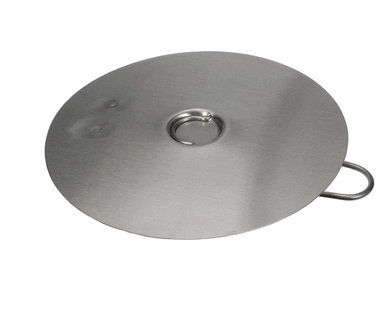 CROWN STEAM 3924-2 2IN  SOLID DISC STRAINER ( SAME AS TSS-2 )
