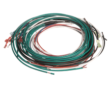 DELFIELD 2180051 HARNESS TEMP CONTROL PAN F-A