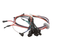DELFIELD 2183310 HARNESS WIRING MALE