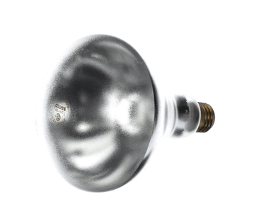 DELFIELD 2193947 BULB HEATLAMP 250W 120V