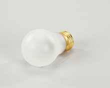 DELFIELD 2194005 BULB LIGHT INCAND 40W COATED