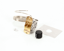 DELFIELD 2194532 THERMOSTAT 4500N