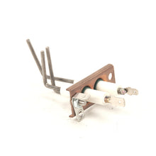 DOUGHPRO PROLUXE 110116908 IGNITORS BENT TRI  ELECTRODES