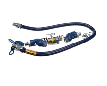 DORMONT 1650BPQ2SR48 1/2 DIA.  48 BLUE HOSE  SNAPFAST  2 SWIV