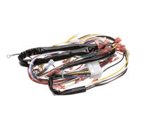 DUKE 153618 HARNESS MOTOR/GAS CONTROL
