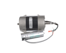 DYNAMIC MIXER 3004.1 MOTOR + CAPACITOR + MOTOR SHAFT (115V)