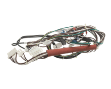 ELECTROLUX PROFESSIONAL 0CA702 WIRING HARNESS  HSPE