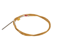 ELECTROLUX PROFESSIONAL 0CK170 PROBE; L=1700MM