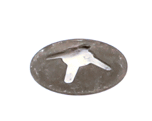 ELECTROLUX PROFESSIONAL 0G6850 WASHER