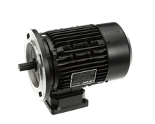 ELECTROLUX PROFESSIONAL 0L1280 MOTOR  110/190V 50HZ