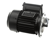 ELECTROLUX PROFESSIONAL 0L2996 MOTOR; 208/240V 60HZ