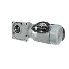 FOLLETT 00130799 GEARMOTOR  120V