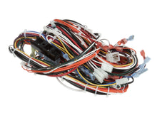 GRINDMASTER CECILWARE CH145L HARNESS R/GB8M10
