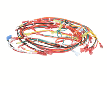 GROEN 123864 HARNESS  WIRING FOR AH KETTLES
