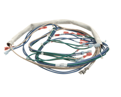 GROEN 148538 WIRING HARNESS CONTROL  24VOLT  BPM-40E