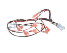 GROEN 148769 WIRE HARNESS-ELECTRIC TILT  HIGH VOLTAGE