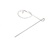 GROEN 174851 RTD PROBE  GAS BRAISING PAN