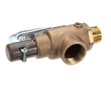 GROEN N69806 VALVE SAFETY 100 PSI