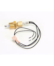 HATCO 02.01.216.00 TEMP/LVL 1K@25C PTC THER PROBE