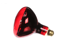 HATCO 02.30.070.00 LAMP-250W 120V RED INF UNCTD