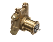 CORNELIUS 312996000 PUMP WATER BR 100GPH 250PSI