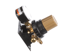 CORNELIUS 1060429 REGCO2 S 1X100 GOLD POLY