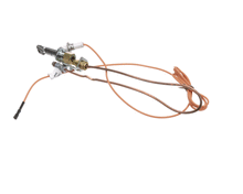 JADE 3000013480 PILOT W/ ELECT & THERMO ASSY