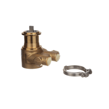 LANCER PA3501X-250 BRASS CARB PUMP,125GPH, WITH S