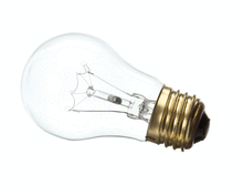 LANG 2S-31602-08-1 250V BULB {FOR 31602-08}