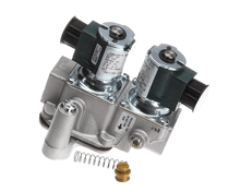 LINCOLN 369263 NATURAL GAS CONT ASSEMBLY