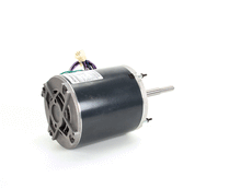 LINCOLN 369539 MOTOR 115V/120V 2'' GAS