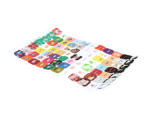 MULTIPLEX 020003960 LABEL SHEET ADA SET