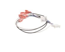 MIDDLEBY M10245 ASSEMBLY HARNESS INTERCONNECTING